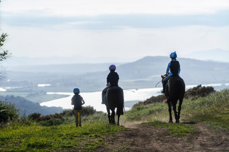 Horse Riding Holidays UK at Lindores – NEW for 2018