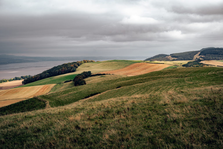 A Decade of Sustainable Farming and Wildlife Conservation at Lindores
